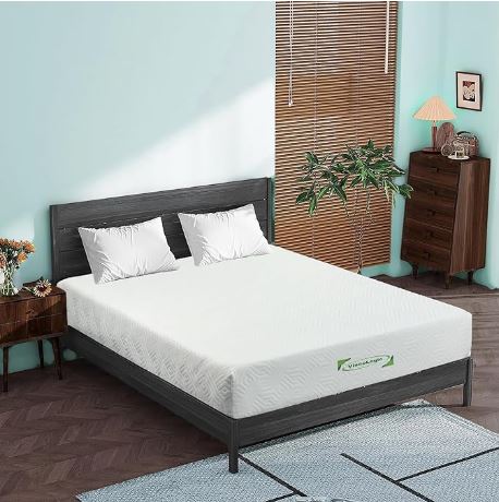 ViscoLogic 9 Inch High Density Foam Mattress
