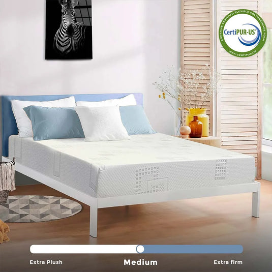 Econo Plus 6 Inch High Density Foam Mattress