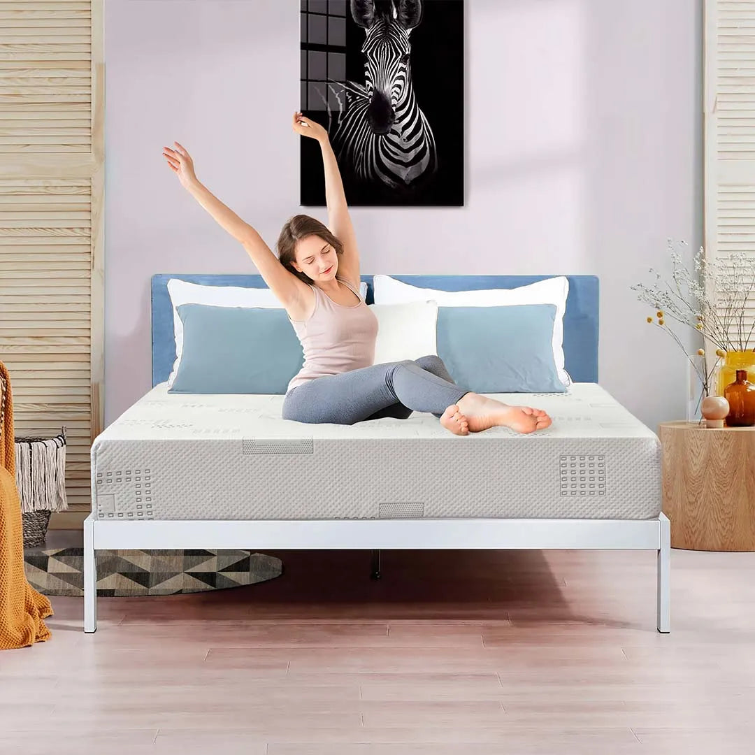 ViscoLogic Econo Plus 6 Inch Foam Mattress