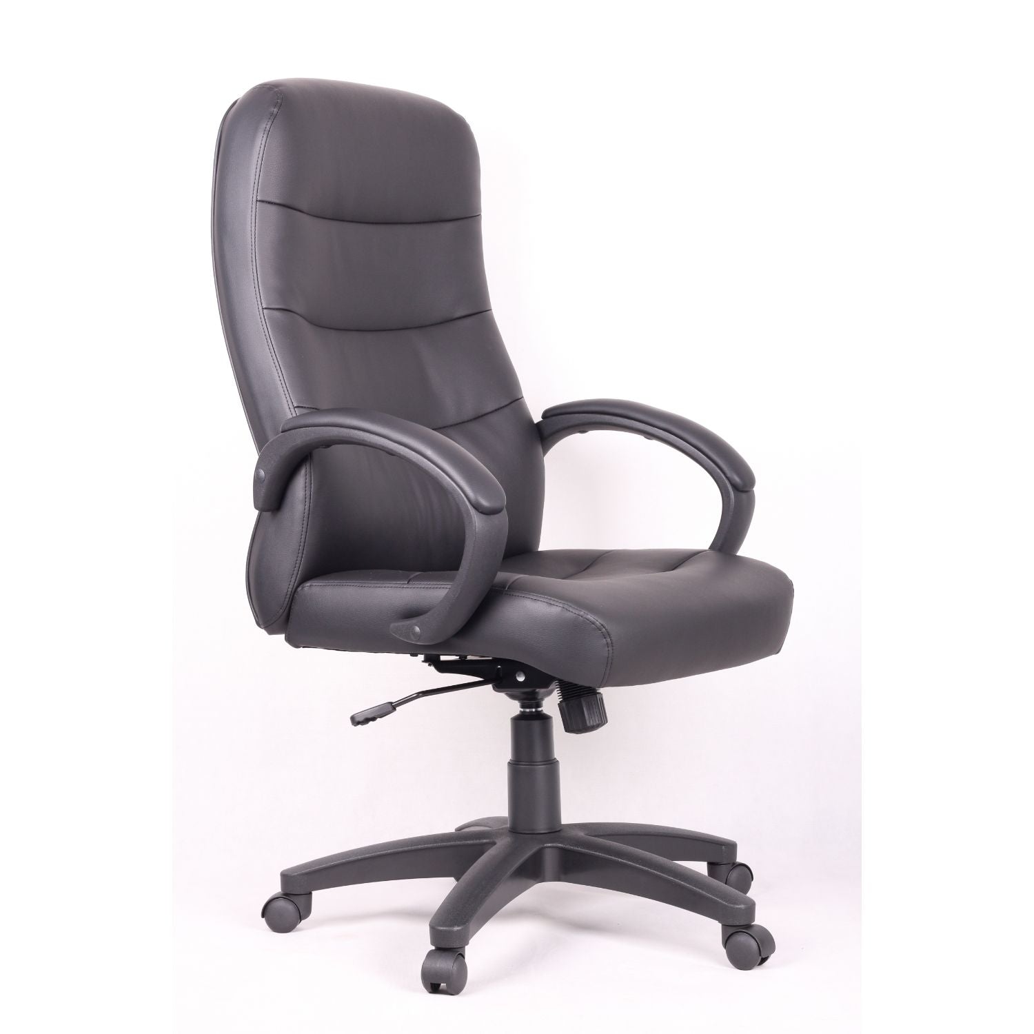 ViscoLogic PRAGMA Ergonomic High-Back Adjustable Swivel Home Office Computer Desk Chair (Black)